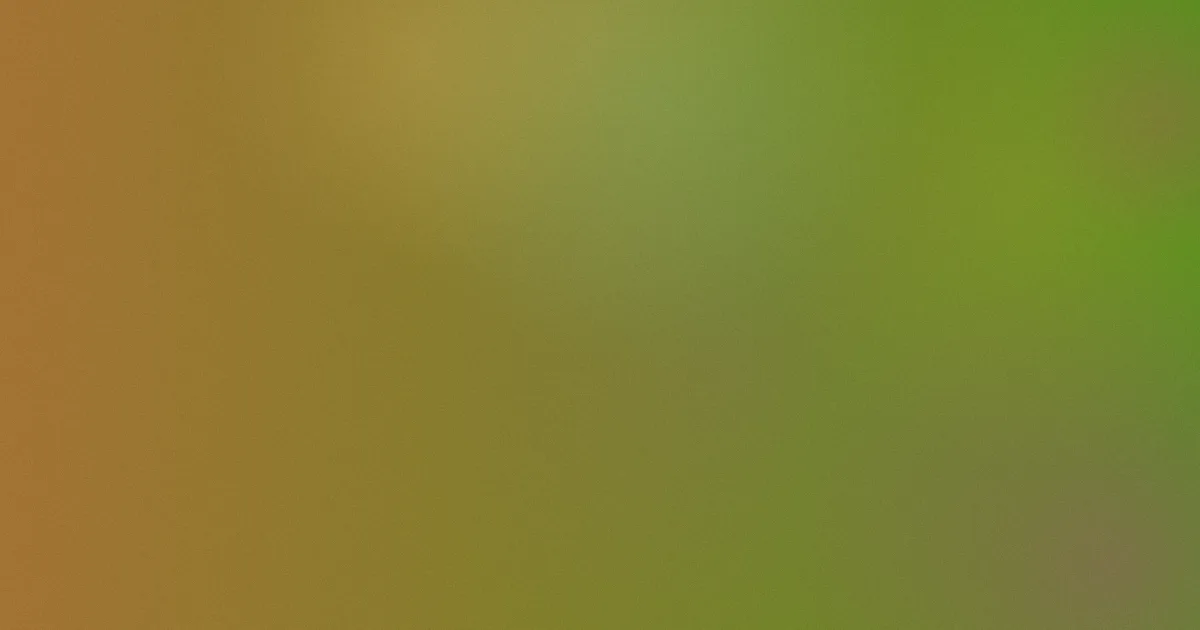 成年人天堂攻略：这样选才稳